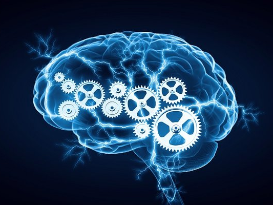 http://brainhealthinitiative.org/wp-content/uploads/2019/09/Brain-Gears.png